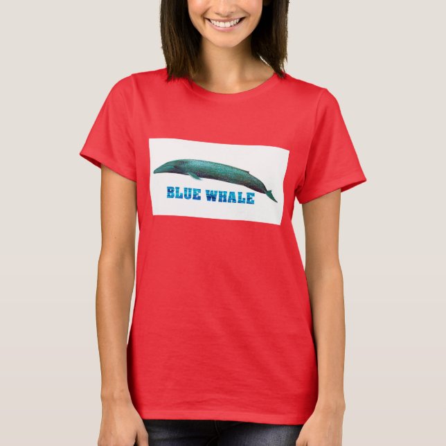 Camiseta Ringer-T-Shirt (Frente)