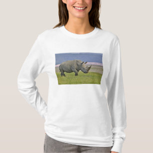 Camiseta Rinoceronte branco e flamingos menores distantes,