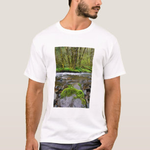 Camiseta Rio em floresta verde, Oregon