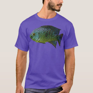 Camiseta Rio Grande Peixes Cichlid Argumenta Azul Verde Eme