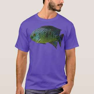 Camiseta Rio Grande Peixes Cichlid Argumenta Azul Verde Eme