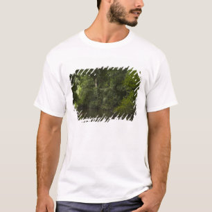 Camiseta Rio Mapari, Mapari Rupununi, Guiana.