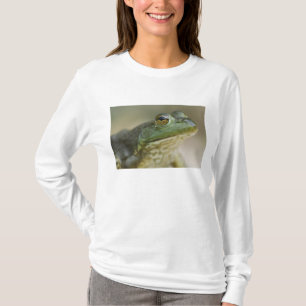 Camiseta Rio Nacional Bufallo, Noroeste do Arkansas