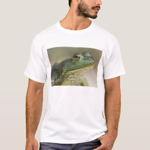 Camiseta Rio Nacional Buffalo, Noroeste do Arkansas
