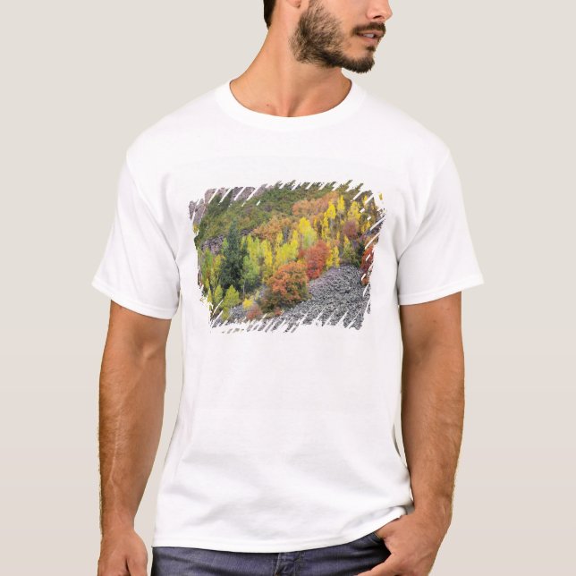 Camiseta Rio Provo e árvores de álamo (Frente)