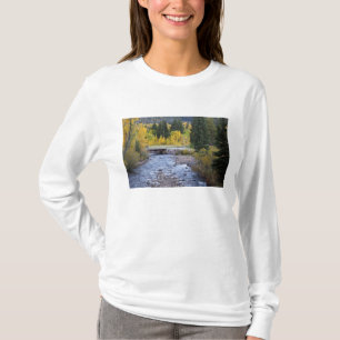 Camiseta Rio Provo e árvores de álamo
