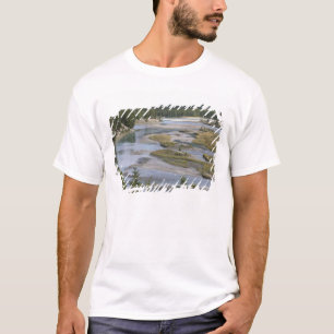 Camiseta Rios atravessam uma seção baixa de Jasper