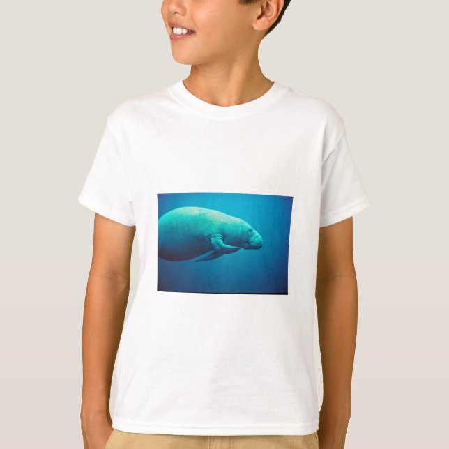 Camiseta Risco do peixe-boi (Frente)