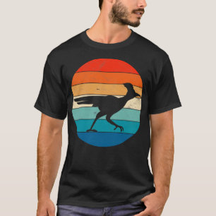 Camiseta Roadrunner