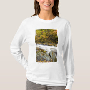 Camiseta Roaring Brook no outono em Green Vermont