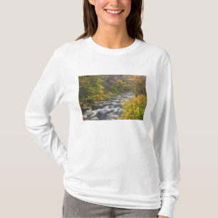 Camiseta Roaring Brook no outono em Vermont's Green 2