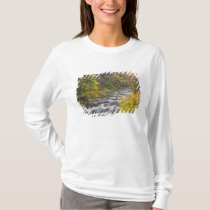 Camiseta Roaring Brook no outono no Green 2 de Vermont