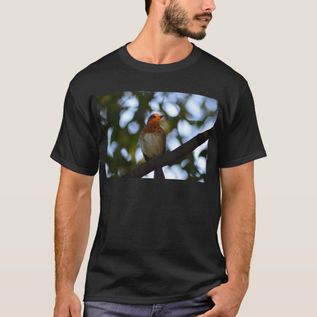 Camiseta Robin (Frente)