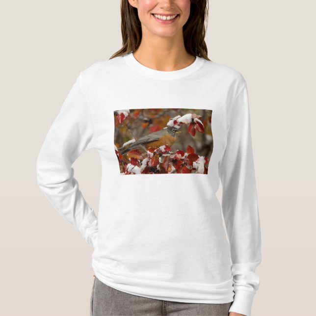 Camiseta Robin Americano macho em Black Hawthorn (Frente)