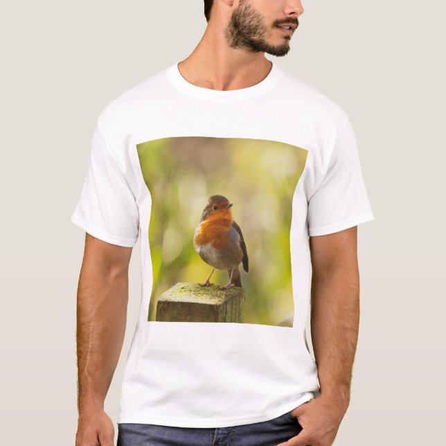 Camiseta Robin red breast bird (Frente)