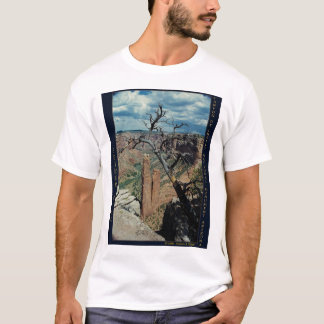 Camiseta Rocha da aranha, monumento nacional AZ de Garganta