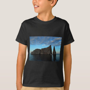Camiseta Rocha do retrocesso, Galápagos