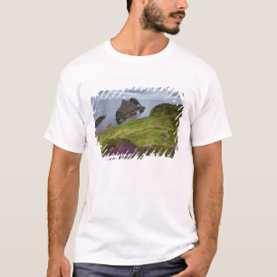 Camiseta Rocha do violino do arco, Portknockie, Scotland