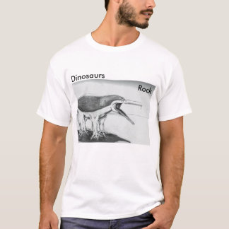 Camiseta Rocha dos dinossauros