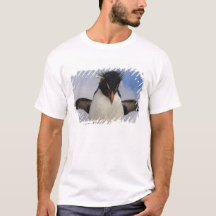 Camiseta Rockhopper Penguin Eudyptes chrysocome