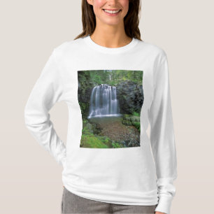 Camiseta Rockwell Falls no vale Two Medicine de