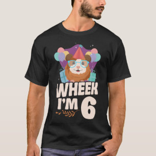 Camiseta Roda-porca-da-guincho, tenho 6 6 de aniversário