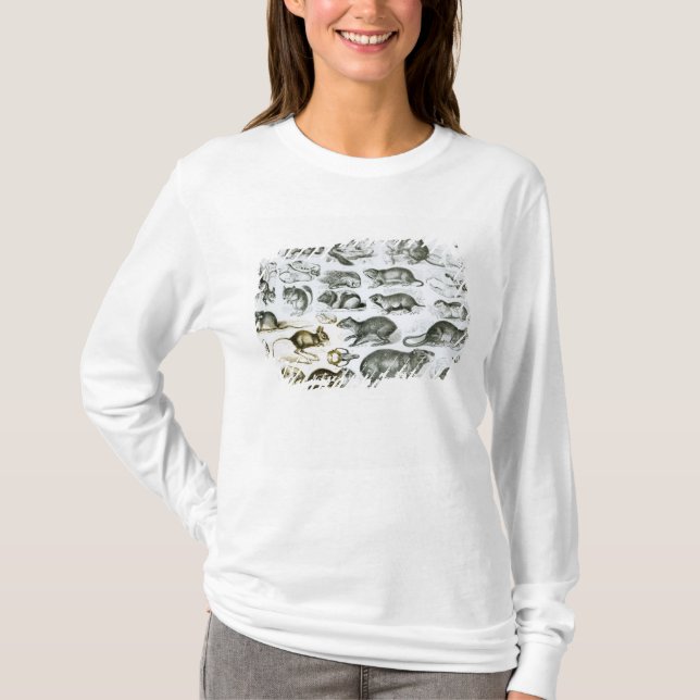 Camiseta Rodentia-Roedores ou animais de roedura (Frente)