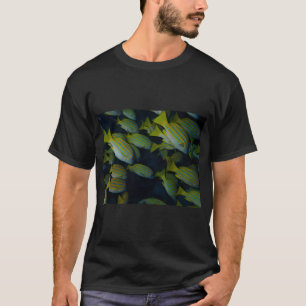 Camiseta Roncadores listrados azuis
