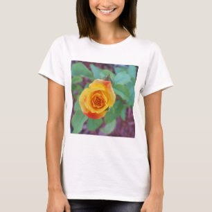 Camiseta Rosa amarela alaranjada com orvalho matinal