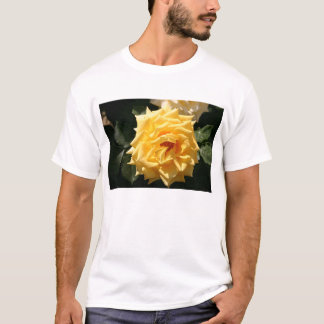 Camiseta Rosa amarelo