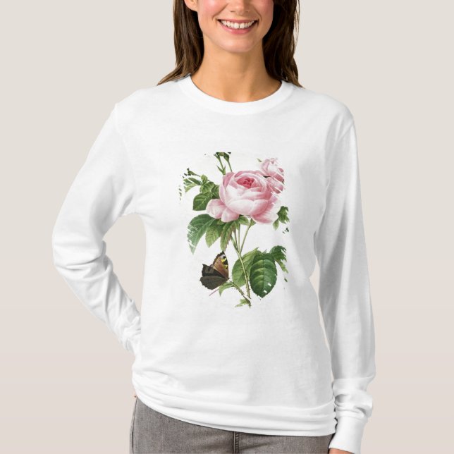 Camiseta Rosa Centifolia (Frente)