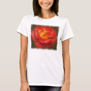 Camiseta Rosa de chamamento no pergaminho