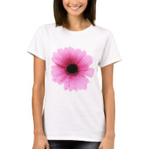 Rosa do Gerbera - margarida