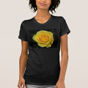 Camiseta Rosa DSCF0127 amarelo