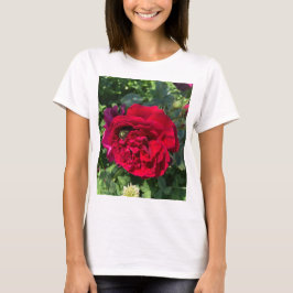 Camiseta Rosa e inseto do jardim vermelho