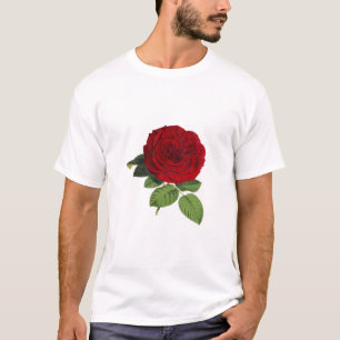 Camiseta Rosa Flor Brilhante Vermelho Verde Vintage Isolado