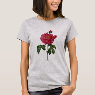 Camiseta Rosa Gallica