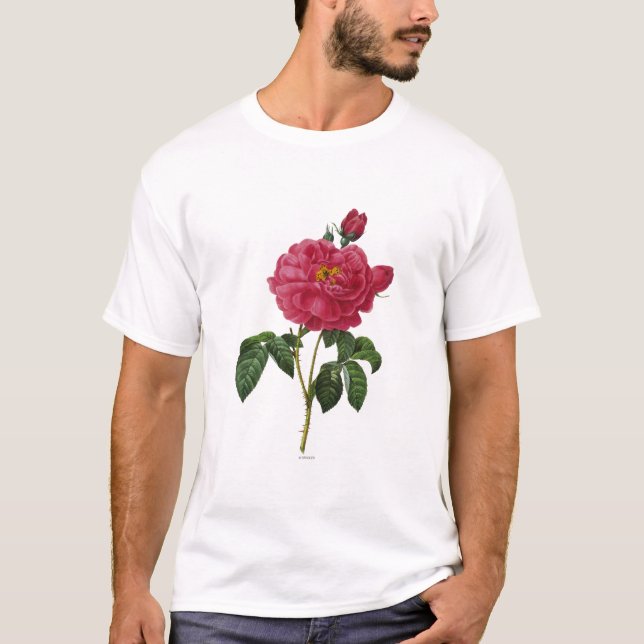 Camiseta Rosa Gallica (Frente)