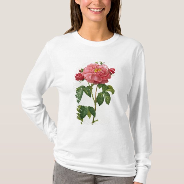 Camiseta Rosa Gallica Aurelianensis (Frente)