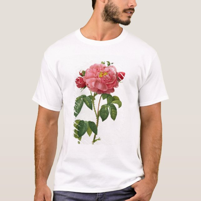 Camiseta Rosa Gallica Aurelianensis (Frente)
