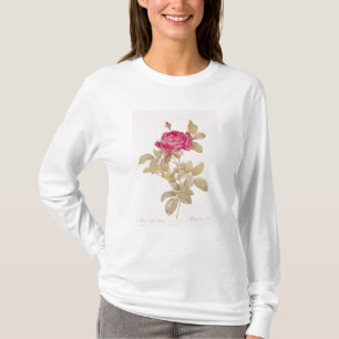 Camiseta Rosa Gallica Pontiana, 'dos rosas de Les