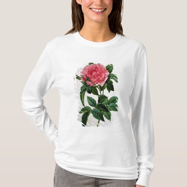 Camiseta Rosa Gallica Regallis (Frente)
