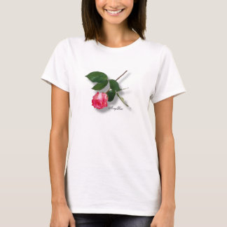 Camiseta Rosa longo bonito do rosa da haste