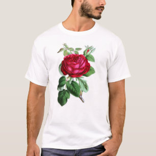 Camiseta Rosa Perpétuo Híbrido, Lorde Napier