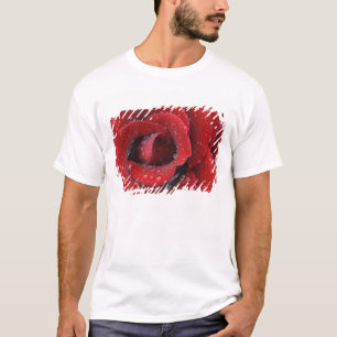 Camiseta Rosa vermelha coberta de orvalho decorando túmulo