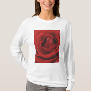 Camiseta Rosa vermelha de florescência