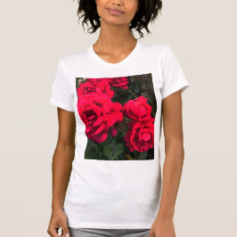Camiseta Rosa vermelha Rosarium