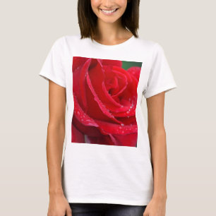 Camiseta Rosa vermelha única floresce