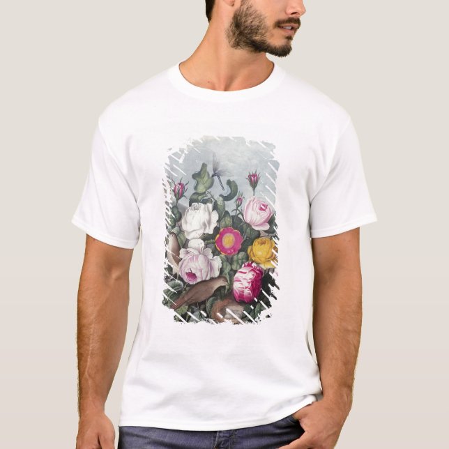 Camiseta Rosas, 'do templo de Flora (Frente)