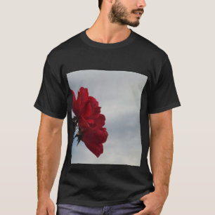 Camiseta Rosas vermelhas contra o céu azul brilhante
